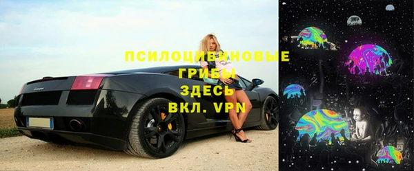 прущие грибы Алексеевка